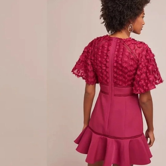 Beautiful Anthropologie rosabelle raspberry dress - Picture 2 of 7